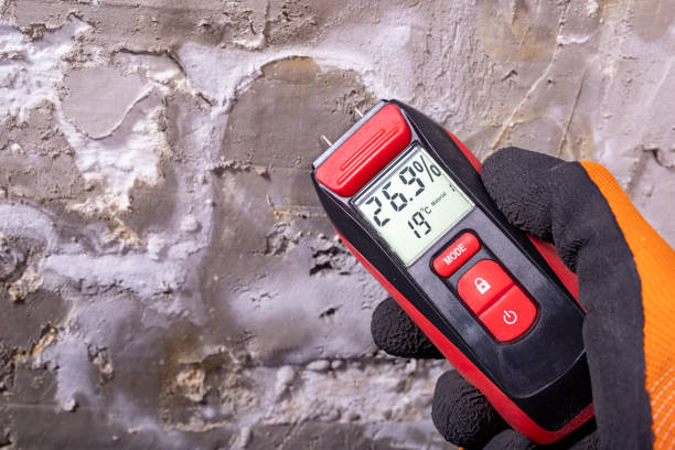 Best Certified Mold Removal  in Elyria, OH